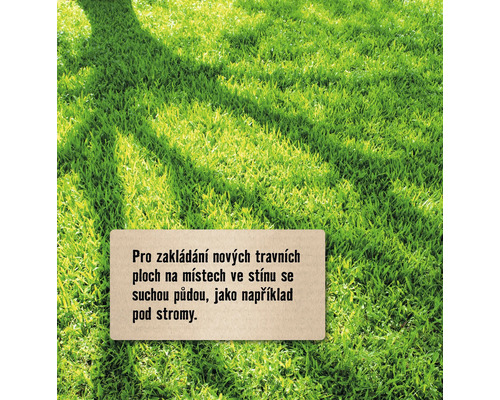 Detailní záběr trávníku s nápisem o založení nových trávníků ve stínu