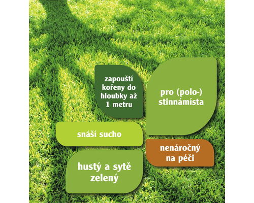 Informace o péči o trávník: Hluboké kořeny, vhodné pro polostinná místa, snáší sucho, hustý a sytě zelený, nenáročný na péči.