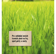 Travnaté pozadí s textovými informacemi o založení nového trávníku pro hřiště, sportoviště, večírky a cesty