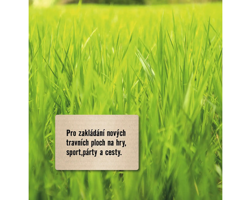 Travnaté pozadí s textovými informacemi o založení nového trávníku pro hřiště, sportoviště, večírky a cesty