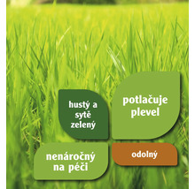 Vlastnosti travního semene: hustý a sytě zelený, potlačuje plevel, nenáročný na péči, odolný