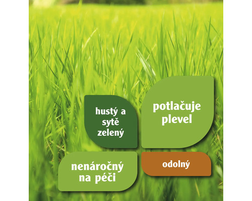 Vlastnosti travního semene: hustý a sytě zelený, potlačuje plevel, nenáročný na péči, odolný