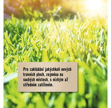 Nový trávník pro suchá místa s nízkou až střední zátěží.