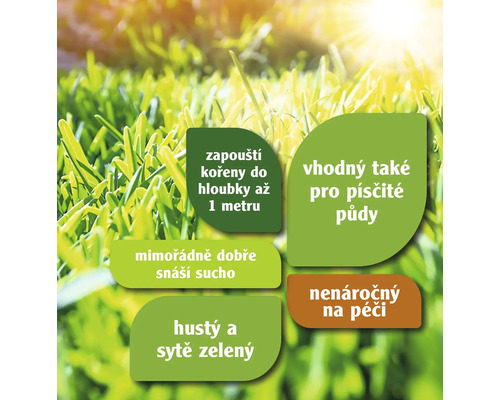 Informace o vlastnostech travního semene