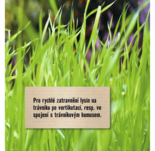 Travní semena pro rychlé ozelenění lysin na trávníku