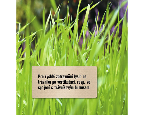 Travní semena pro rychlé ozelenění lysin na trávníku