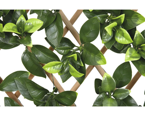 Dekorativní mřížka s zelenými listy