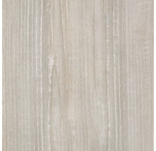 Detail struktury dřeva
