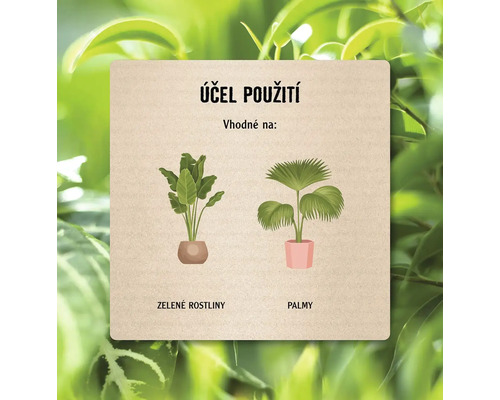Informace o použití zelených rostlin a palem