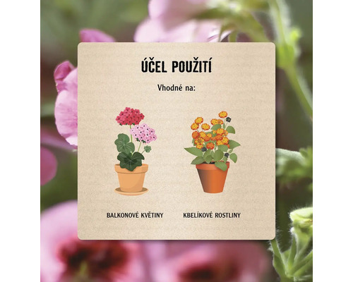 Informace o použití balkónových a nádobových rostlin