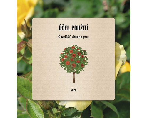 Symbol s ilustrací růže pro účel použití