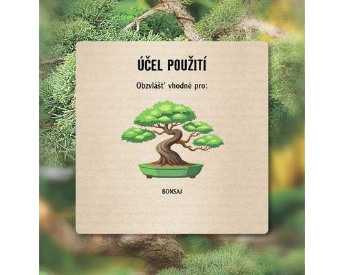 Ilustrace bonsaje pro použití.