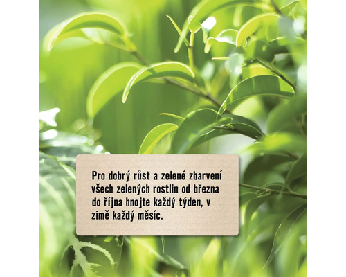 Pokyny pro hnojení zelených rostlin pro dobrý růst