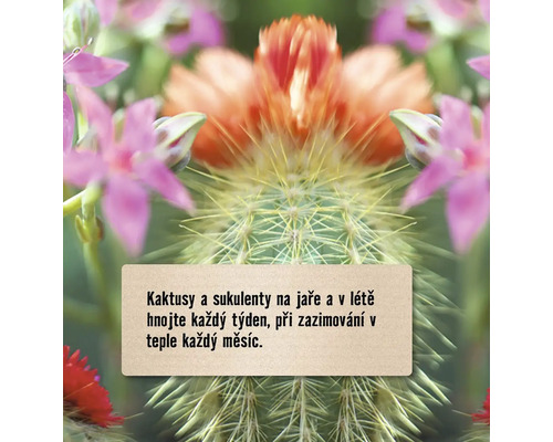 Informace o zavlažování kaktusů a sukulentů