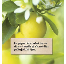 Informace o použití hnojiva pro růst citrusových rostlin