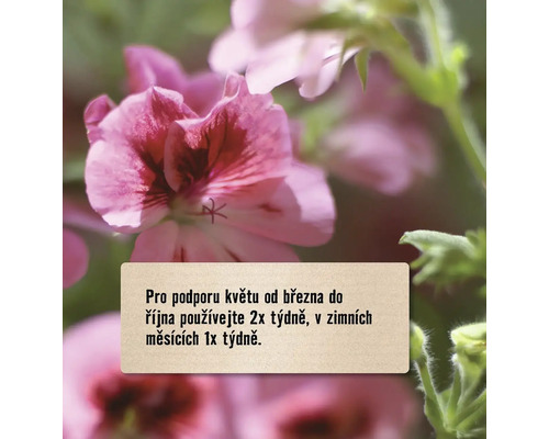 Informace o aplikaci hnojiva na květiny před růžovými květy.