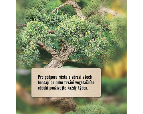 Bonsajový strom s pokyny pro péči