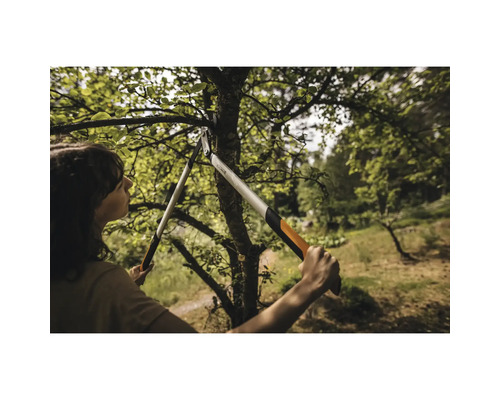 Žena stříhá strom pomocí nůžek na větve