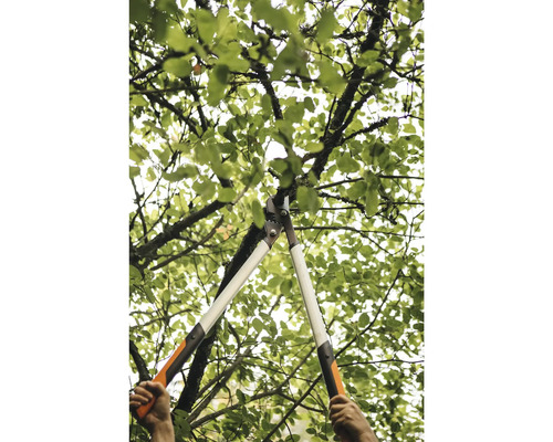 Péče o stromy pomocí nůžek na větve ve stromě