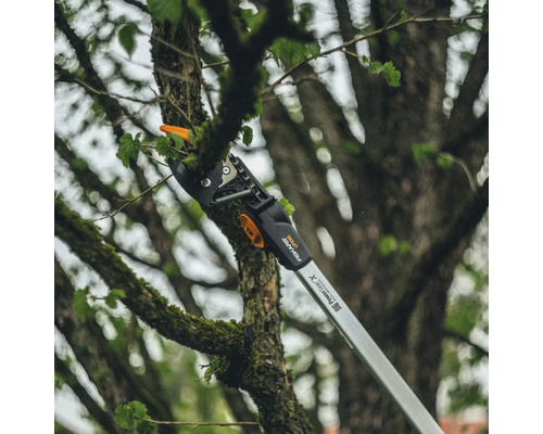 Nůžky na větve stříhají větev ve stromě