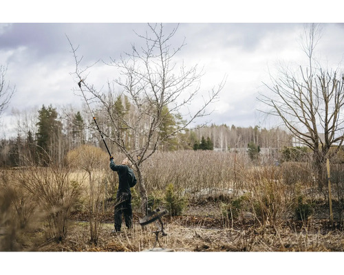 Osoba prořezává strom zahradními nůžkami na větve.