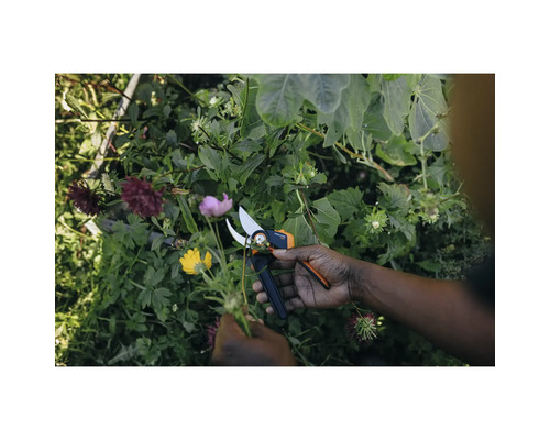 Práce na zahradě se zahradními nůžkami na zahradě