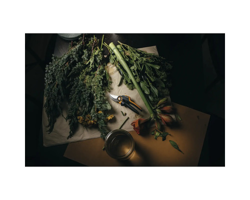 Zahradní nůžky s čerstvými květinami a zelenými rostlinami