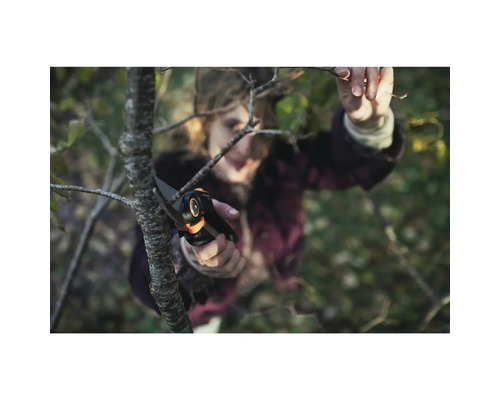 Žena stříhá větev zahradními nůžkami.