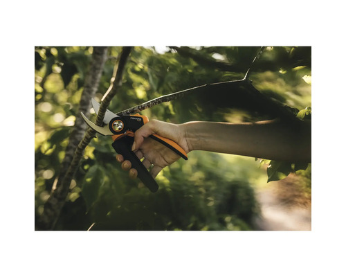 Osoba stříhá větev zahradnickými nůžkami.