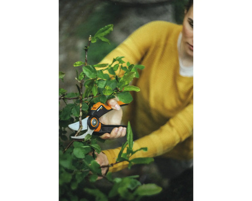 Žena stříhá keř zahradními nůžkami