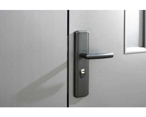 Dveře s klikou a zámkem