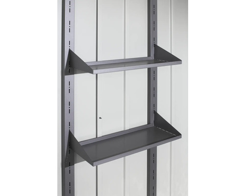 Kovová police se dvěma policemi pro montáž na stěnu