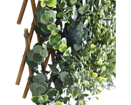 Umělá břečťanová stěna s dřevěným rámem do zahrady.