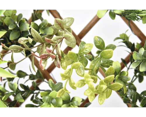 Dekorativní zelené rostliny na mřížoví