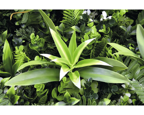 Umělá stěna z rostlin s různými zelenými rostlinami