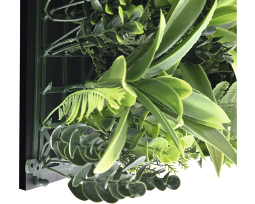 Detail umělé stěny rostlin s různými zelenými listy