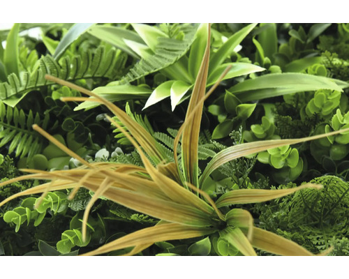 Detail umělé rostlinné stěny s různými zelenými listy