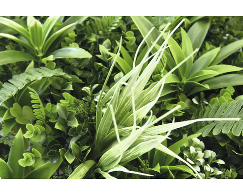 Detailní záběr umělé rostlinné stěny s různými zelenými rostlinami