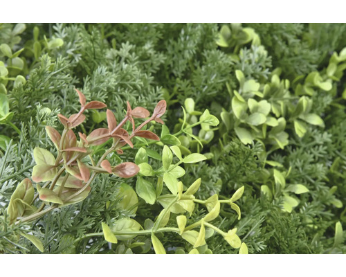 Detail umělé rostlinné stěny s různými odstíny zelené