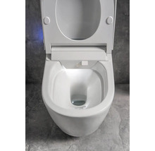 Bílá hluboká splachovací toaleta pro montáž na stěnu s otevřeným splachovacím okrajem a WC sedátkem