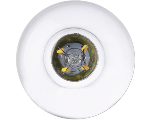 Detailní záběr čiré žárovky