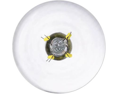 Žárovka s čirým sklem