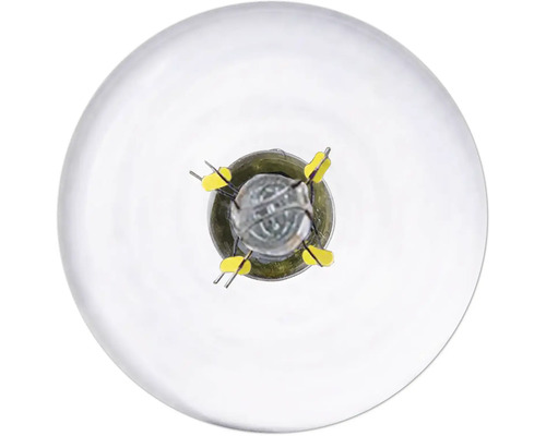 Detailní záběr žárovky zobrazující vnitřní součásti a připojovací kolíky