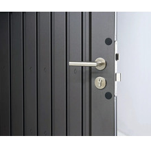 Plechový zahradní domek Biohort HighLine HS 134 x 254 cm tmavě šedý metalický