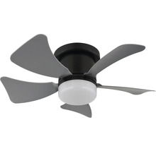 Stropní ventilátor s osvětlením a pěti lopatkami
