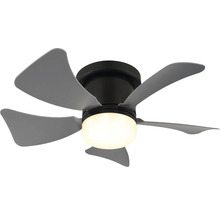 Stropní ventilátor s pěti lopatkami a integrovaným osvětlením.