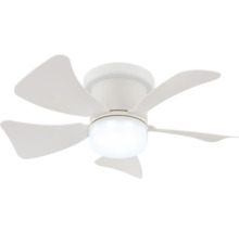 Stropní ventilátor se světlem