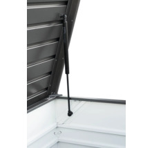 Detailní pohled na otevřený zahradní domek s plynovou vzpěrou podpírající víko