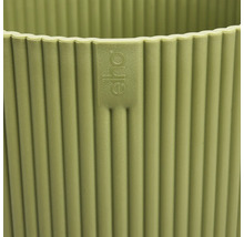 Logo Eho na rýhovaném květináči