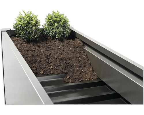 Detailní pohled na osázený vyvýšený záhon s hlínou a rostlinami.